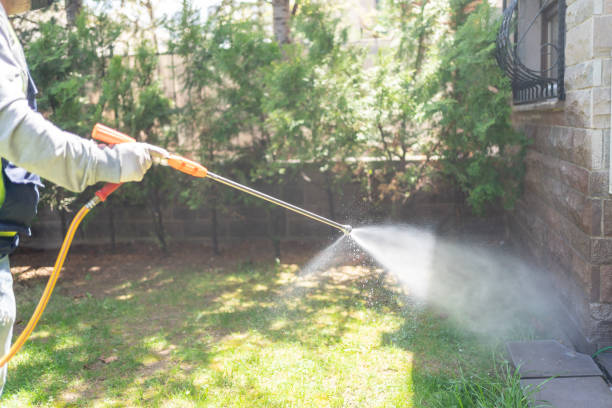 Best Pest Exclusion Services  in Jay, OK